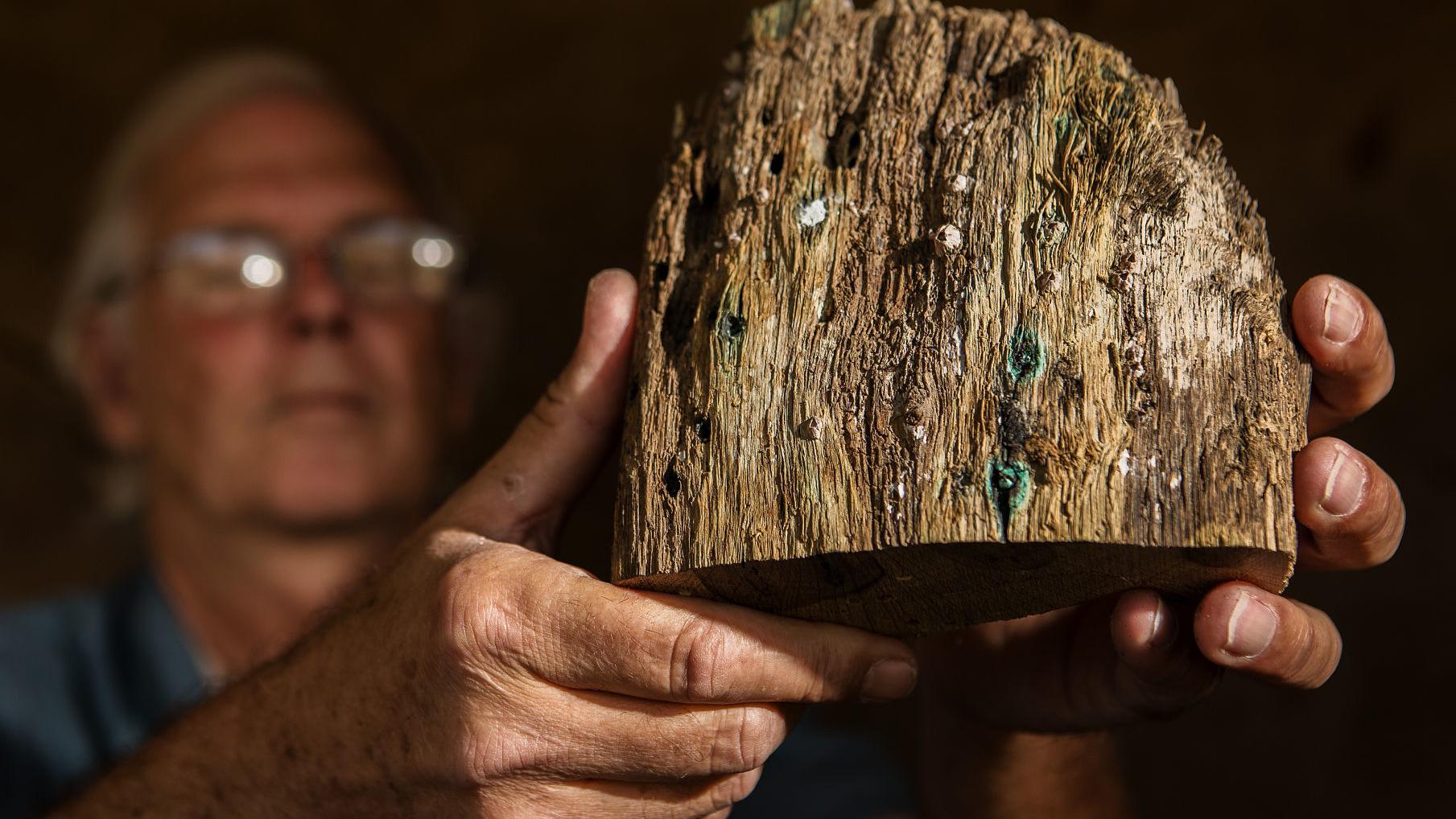 Wood chunk found at UA consistent with wreckage from 17th-century treasure ship
